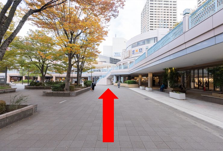 4. 階段を下りたら真っ直ぐ進みます